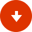 Download Icon