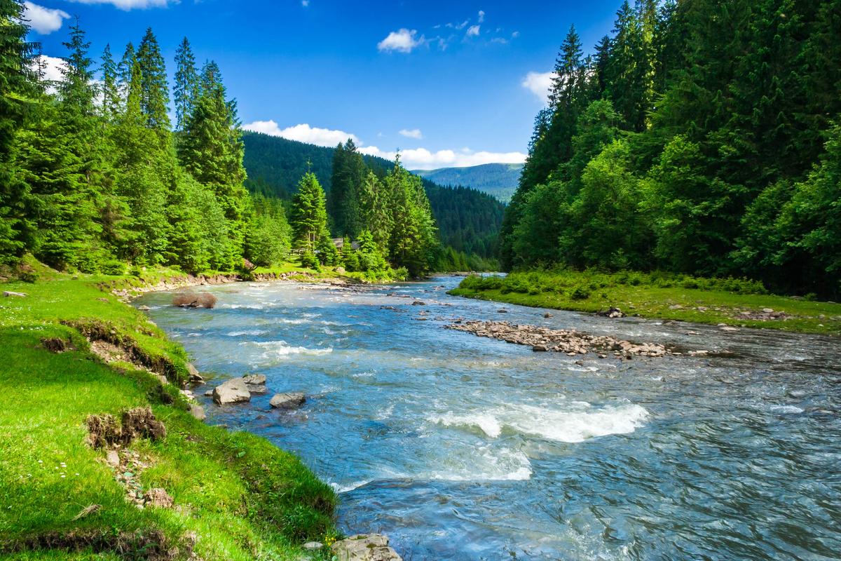 2016/08/river-mountains-biodiversity_1big_stock.jpg