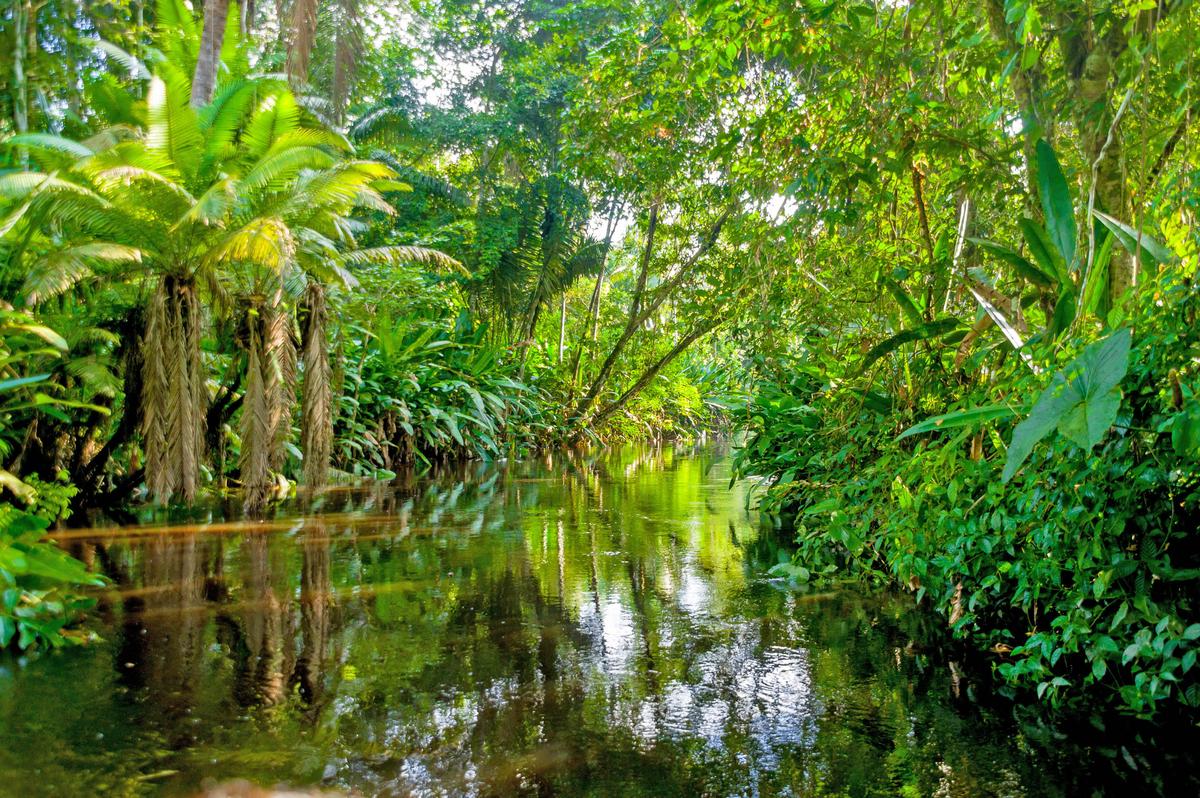 2016/08/amazon-rainforest-river_4big_stock.jpg