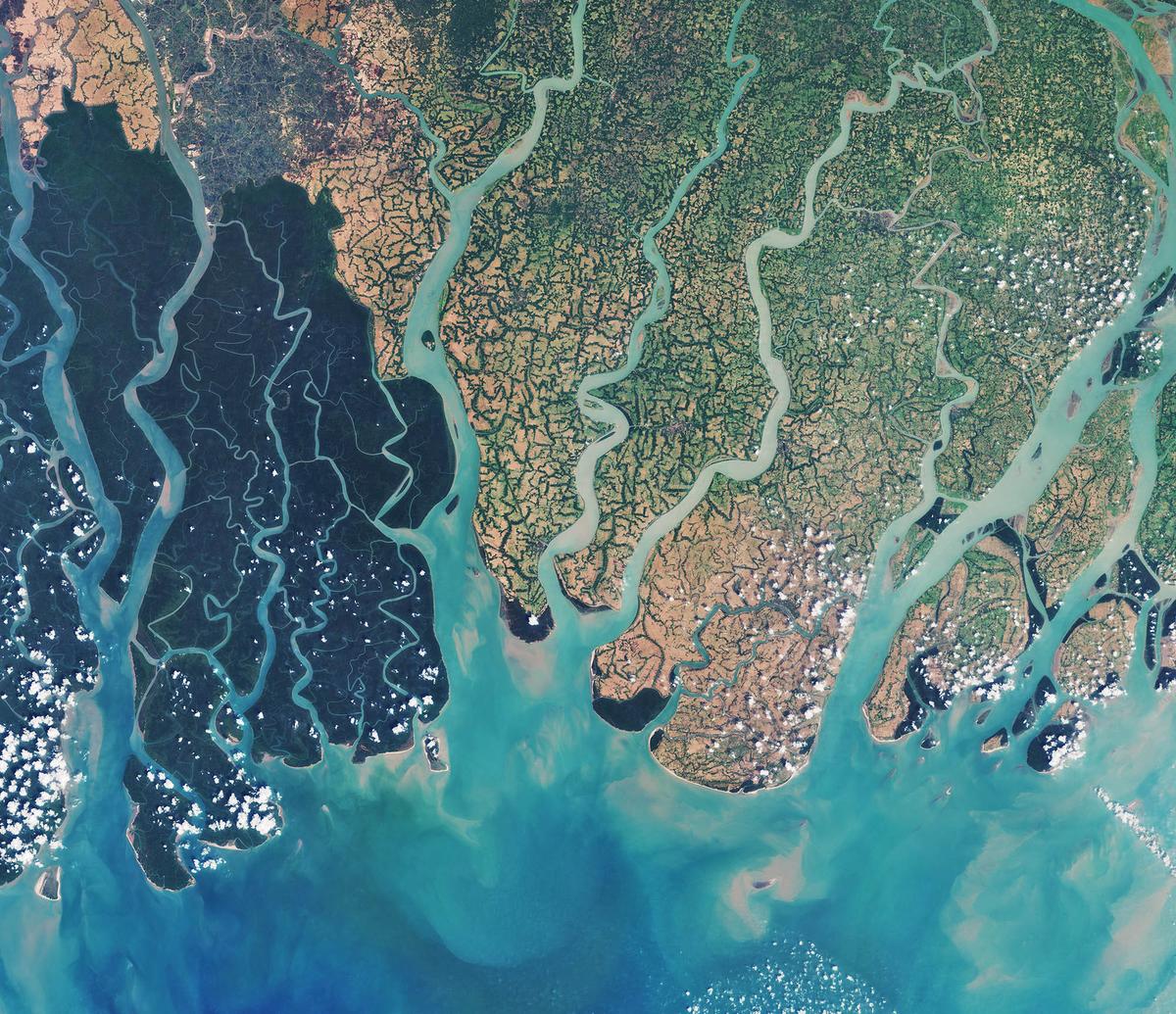 Eastern part of the Sundarbans in Bangladesh