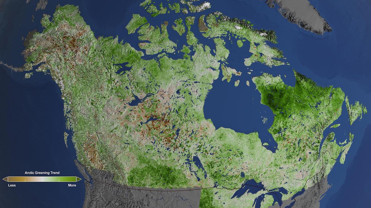 The Arctic is getting greener