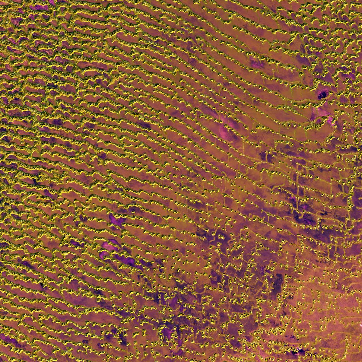 Rub al Khali Desert