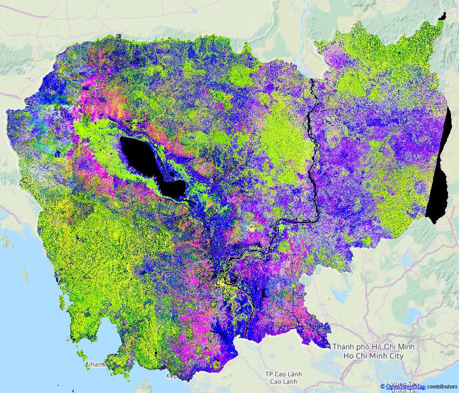 Mekong River Delta suffers significant drop in rice productivity