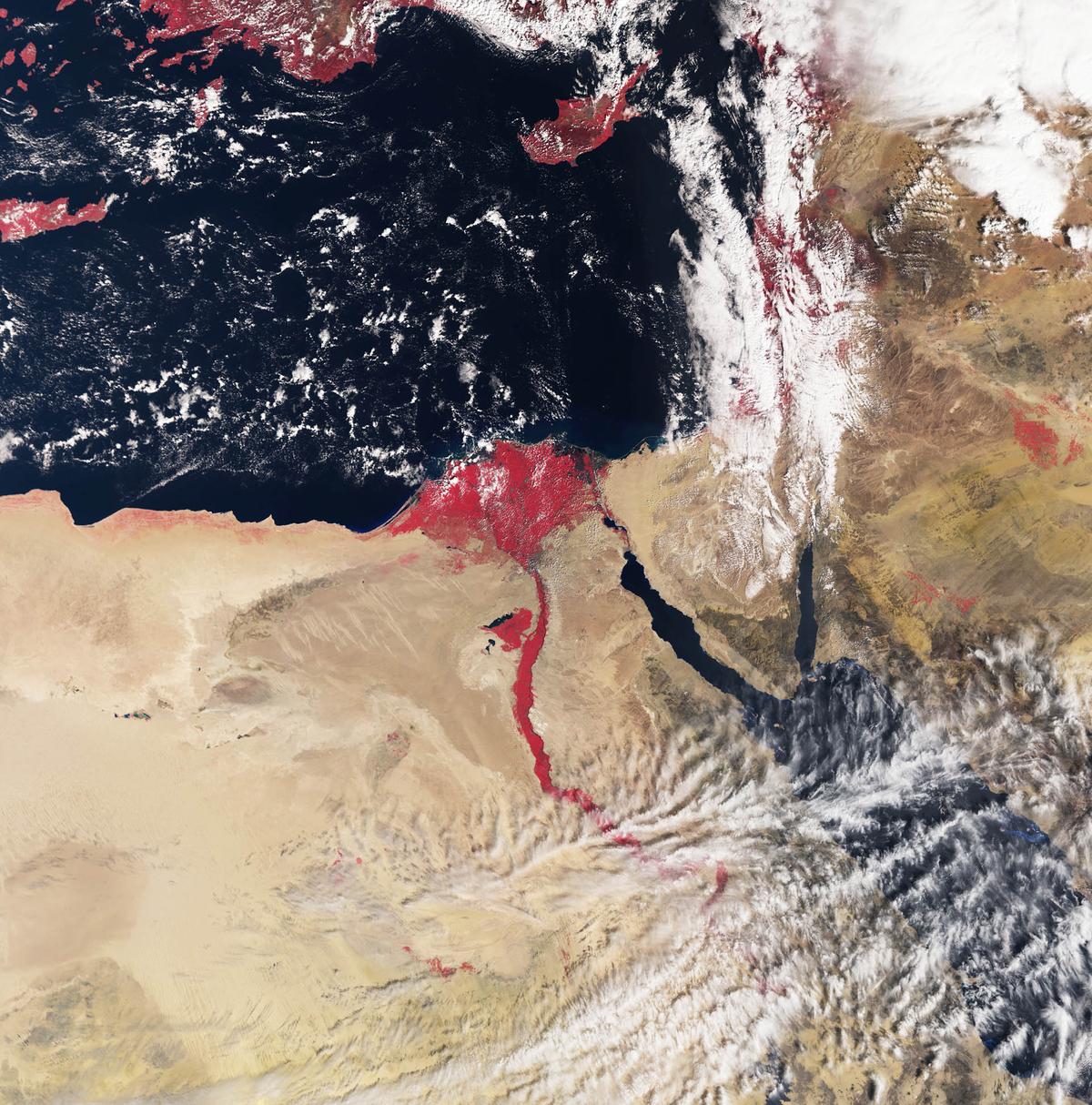 The Nile River and its delta seen from space