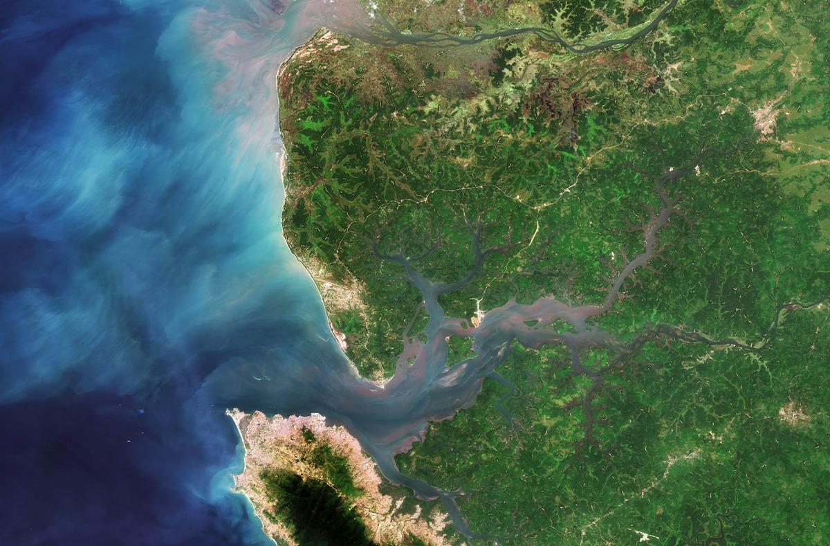 Sierra Leone River Estuary