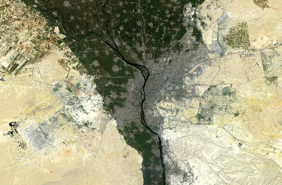 Nile Delta Fertility