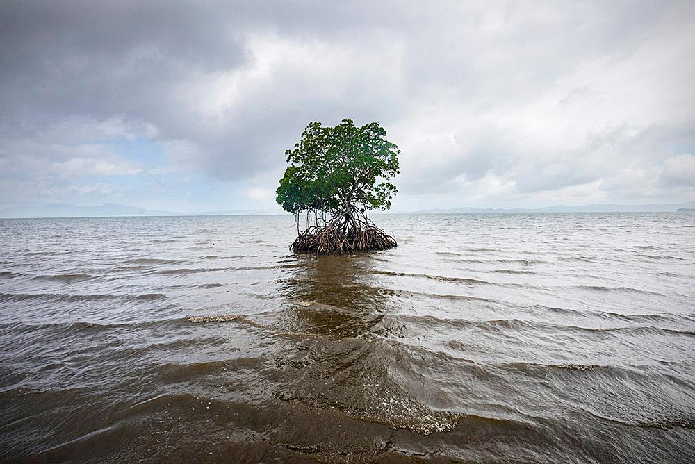 Climate Change: The Connection Between Greenhouse Gases And Sea Level Rise