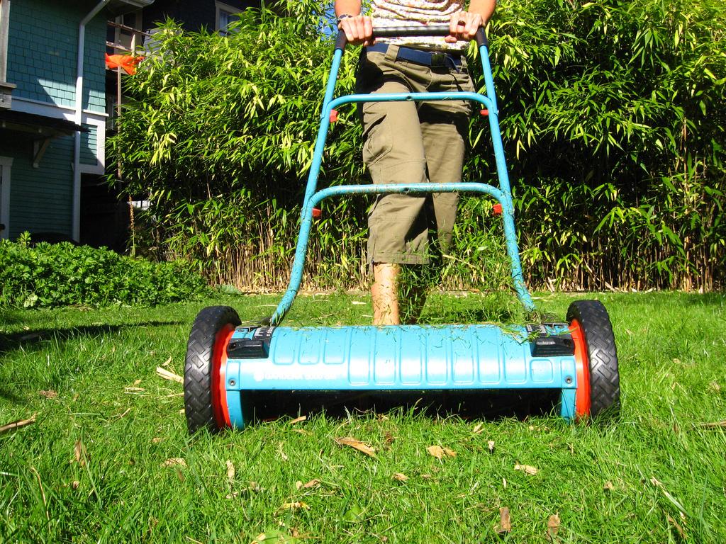 Lawn Care Tips From The EPA