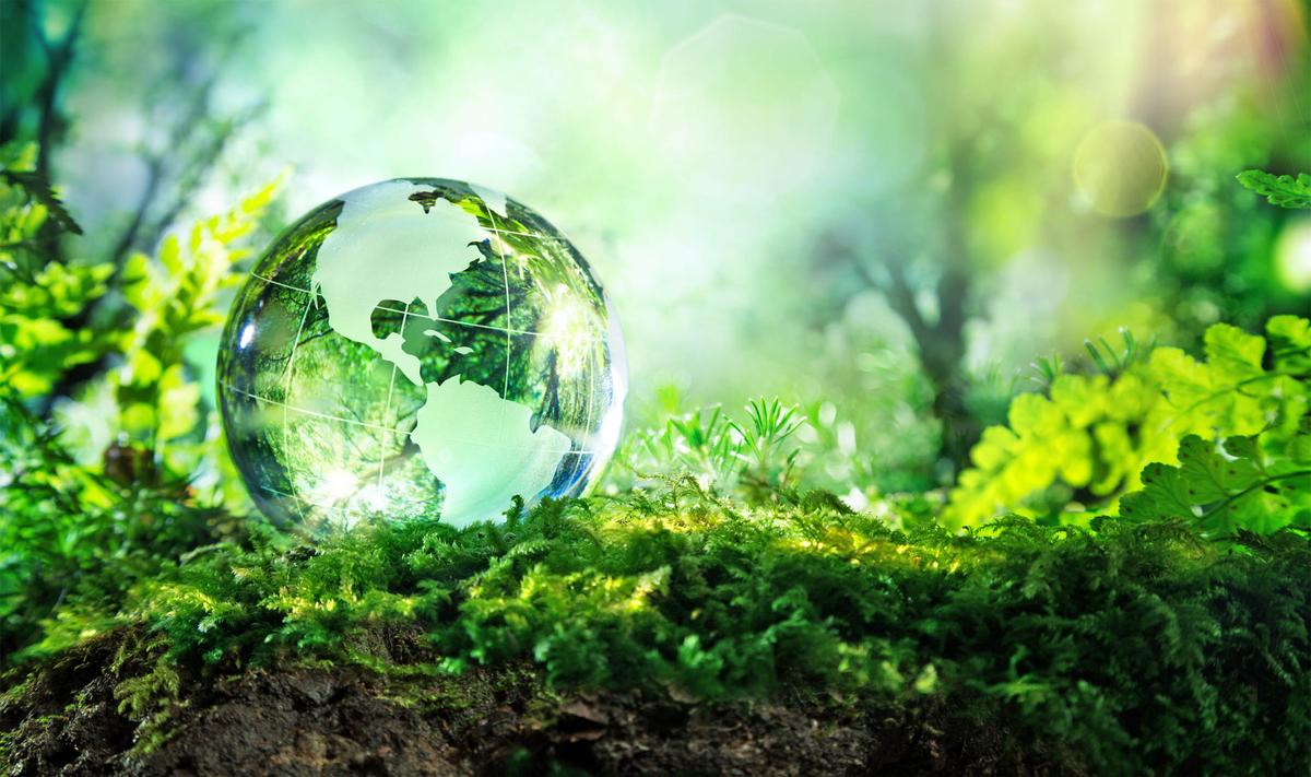 Carbon dioxide is making the Earth greener