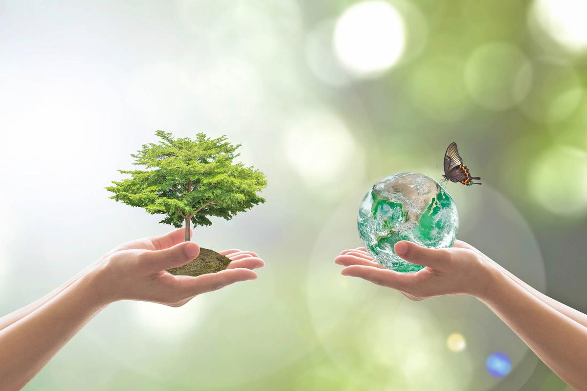 Global effort underway to gather information needed to save species