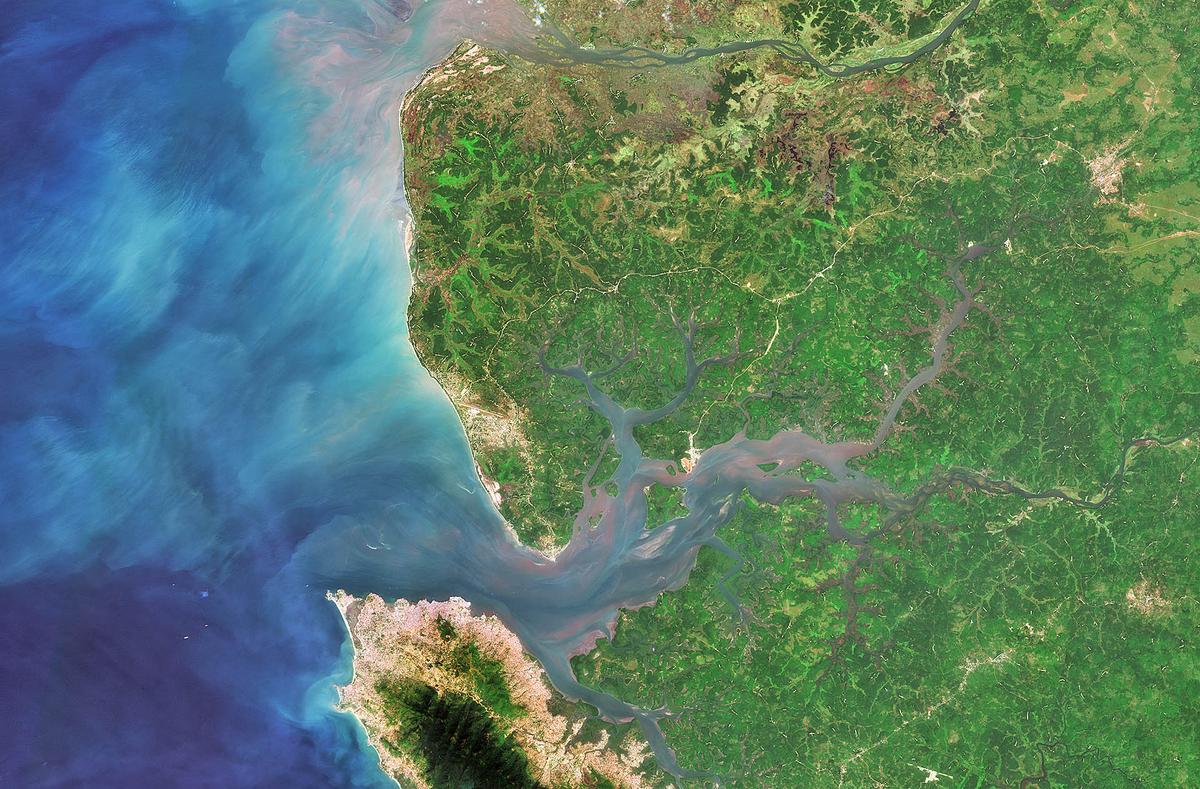 The Sierra Leone River Estuary in West Africa