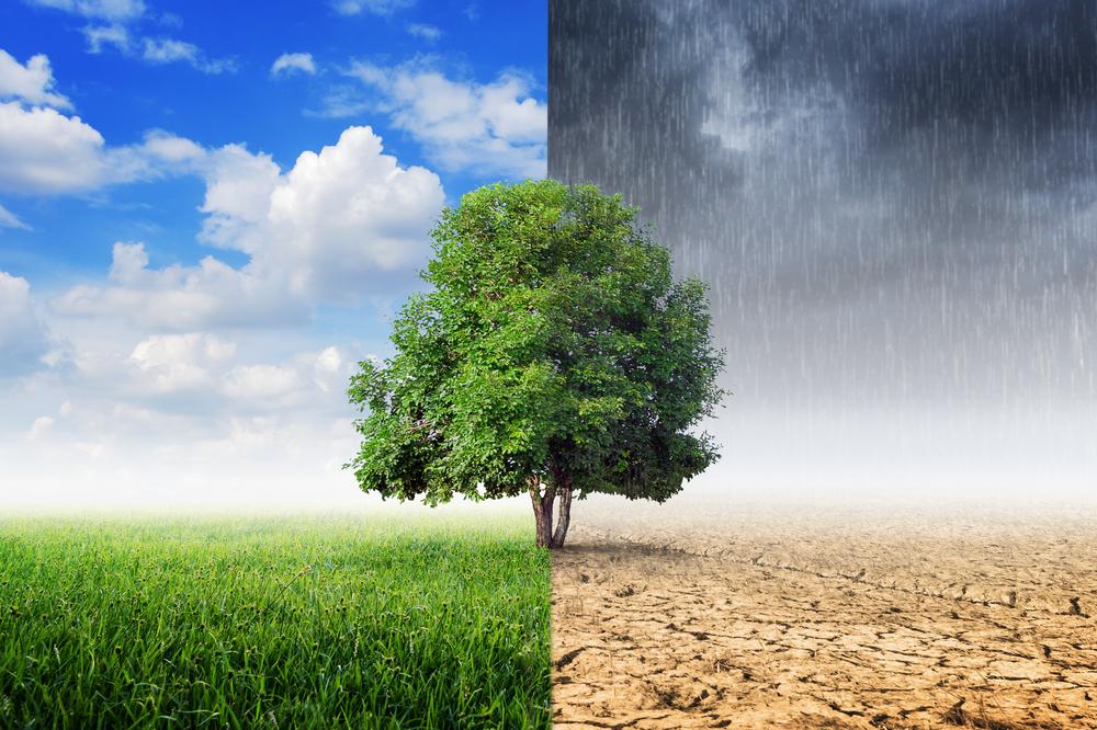 River Delta simulated flood proven to boost ecosystem