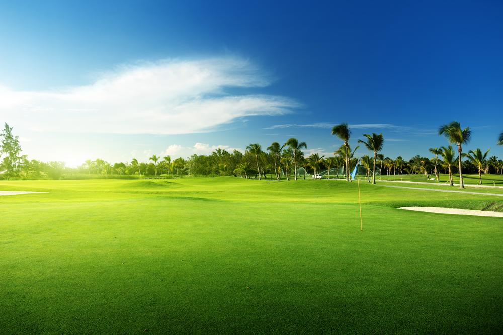 2016/10/golf.jpg