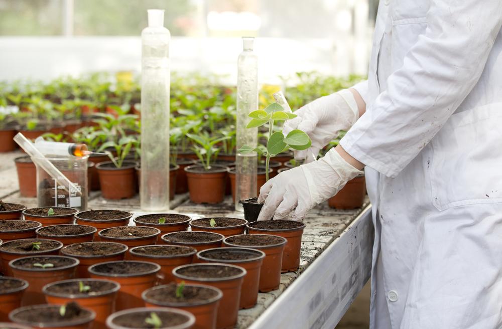 2016/10/plant-research.jpg