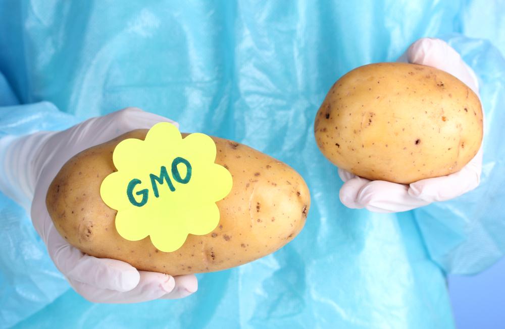 2016/11/GMO.jpg