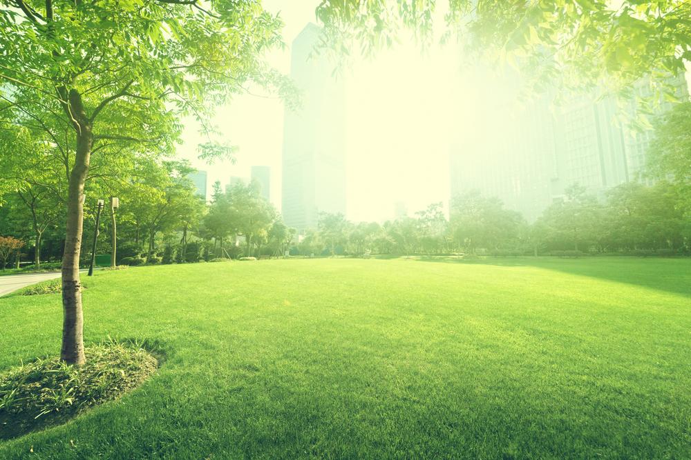 2016/11/urban-forests.jpg