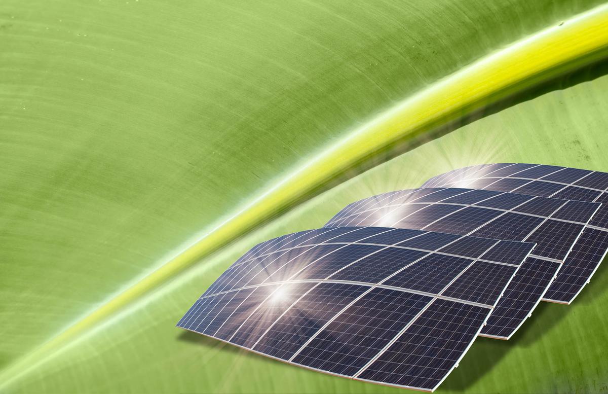 Scientists prove that photosynthesis can be boosted to grow food faster