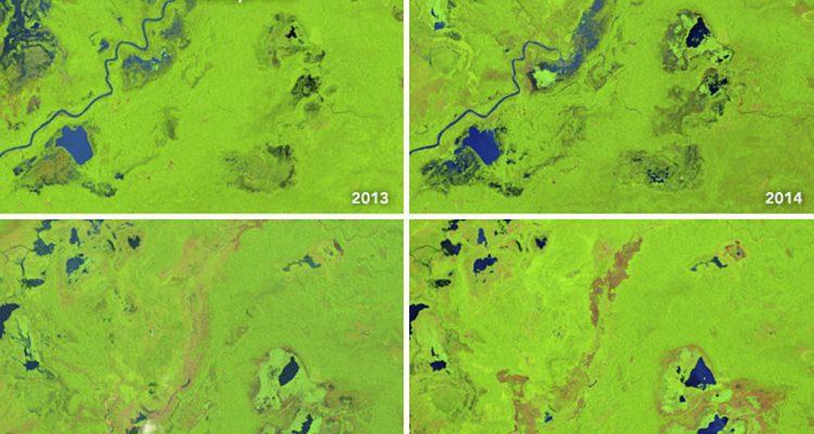 The Maniqui River seen changing shapes very rapidly