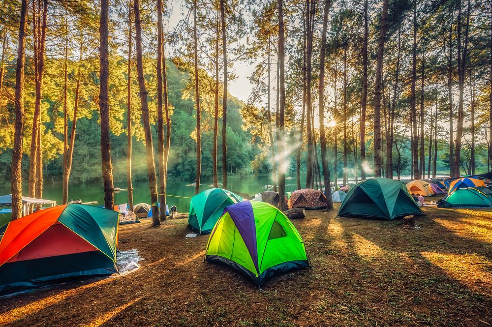 Could camping potentially cure insomnia?