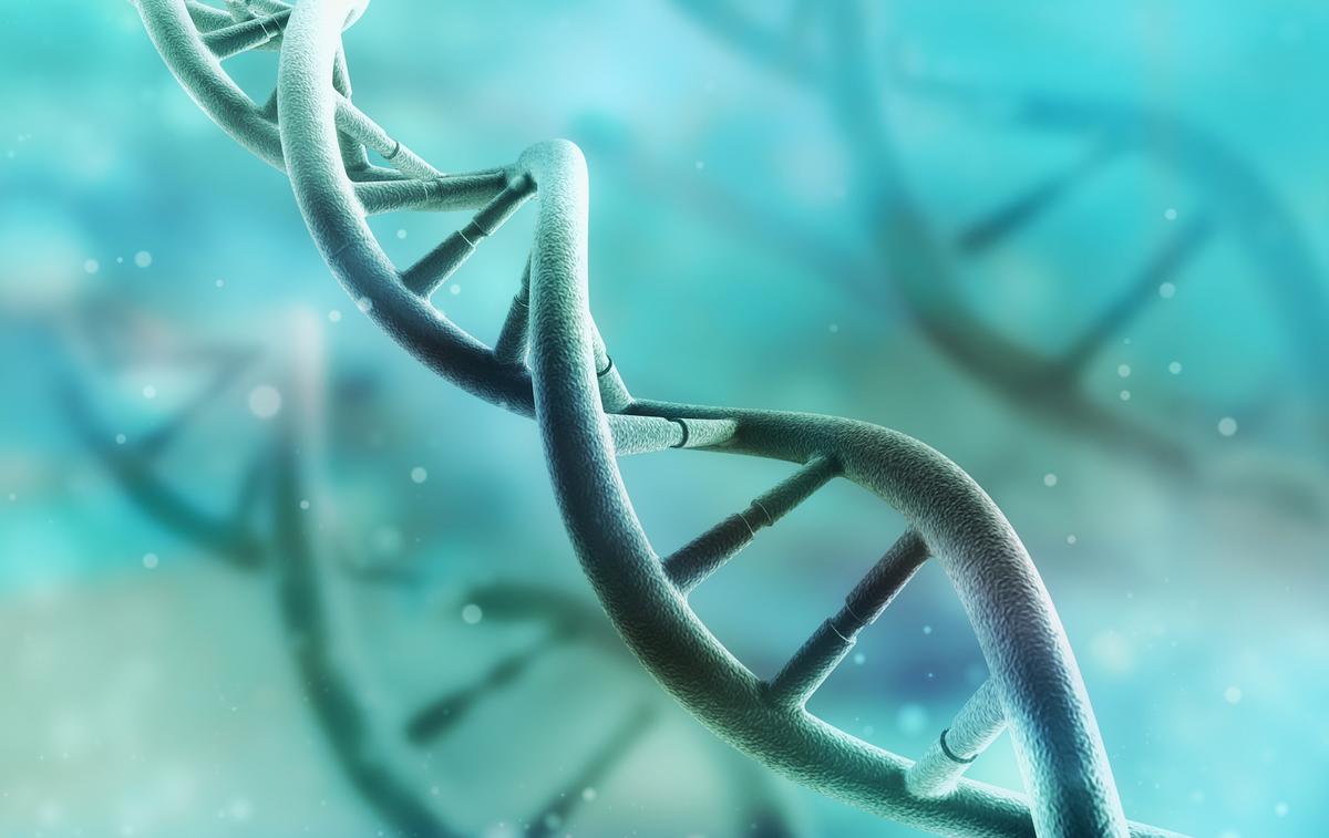 Master gene regulates physical differences between the sexes
