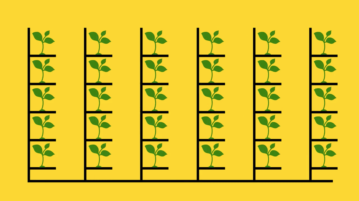 Is vertical farming the future of agriculture?