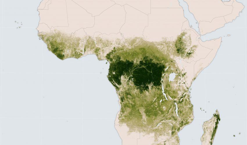 The Green Heart of Africa