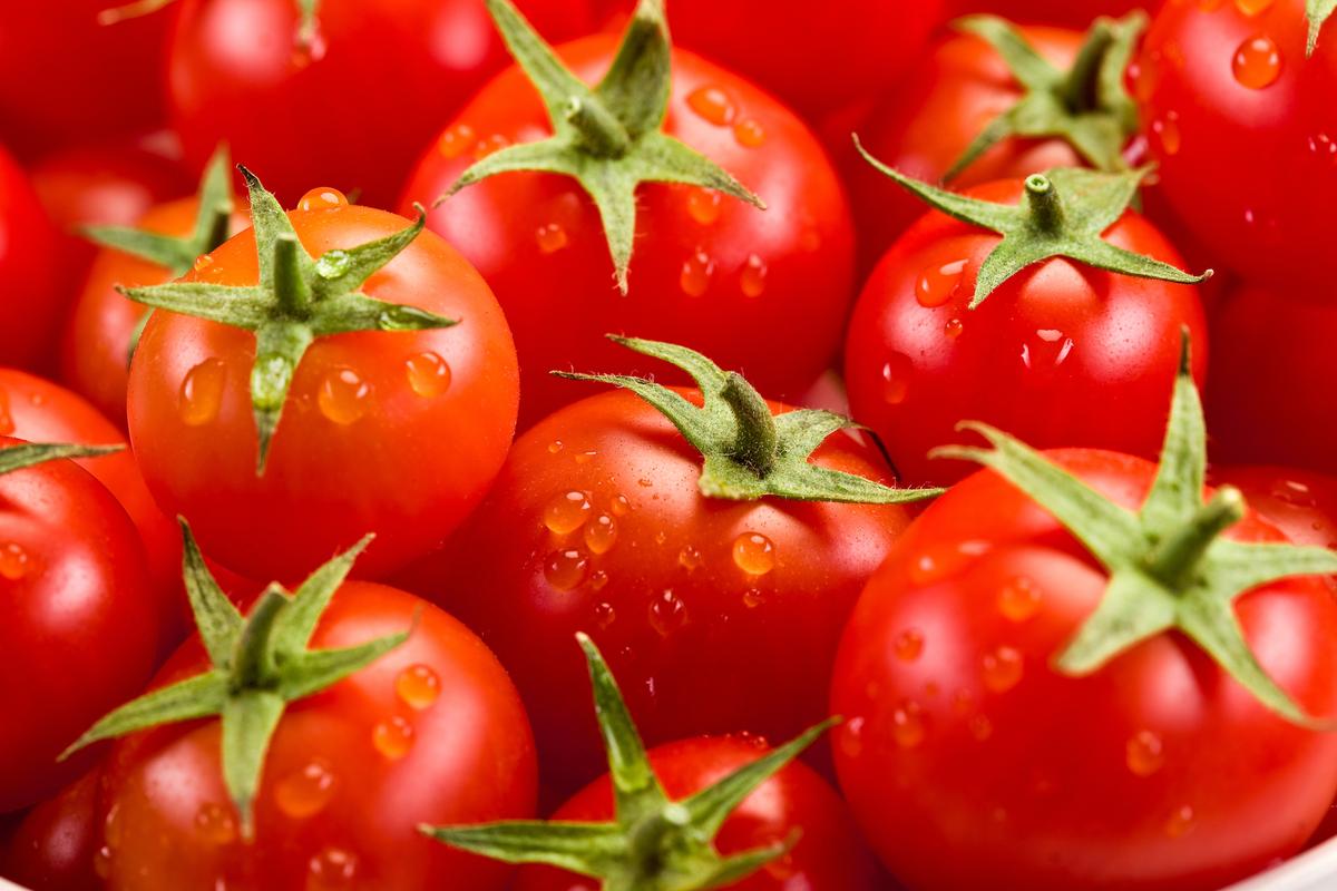 Why supermarket tomatoes don’t taste the same anymore