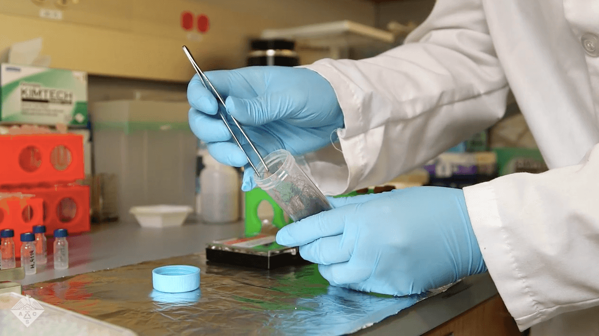 New hair fiber analysis technique provides more info on criminals