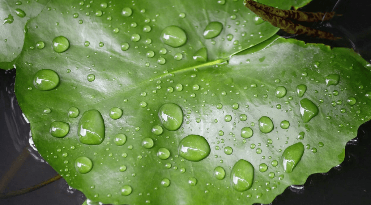 New waterproof material sheds like a snake when scratched