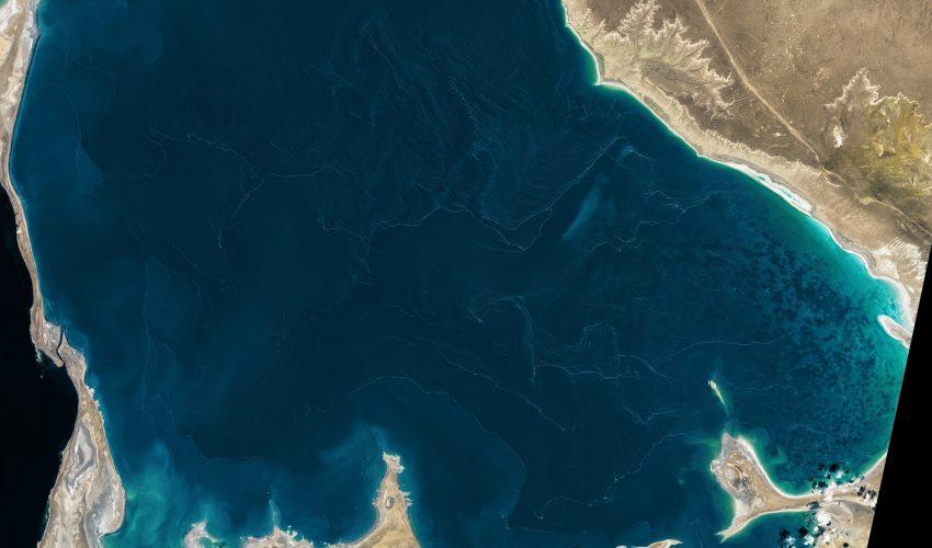 Filaments of foam floating through the waters off Garabogazköl