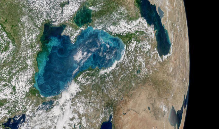 Phytoplankton in the Black Sea