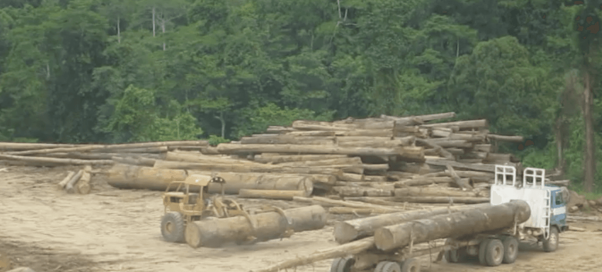 When deforestation actually leads to unsustainable development