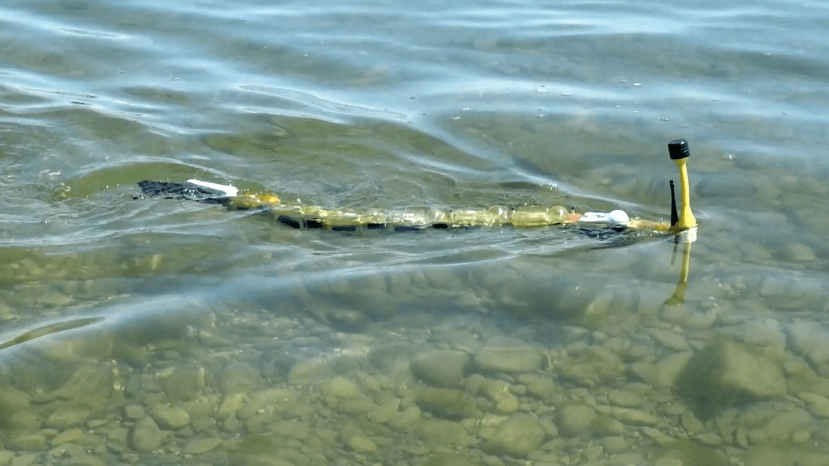 Monitoring water pollution using a robotic eel