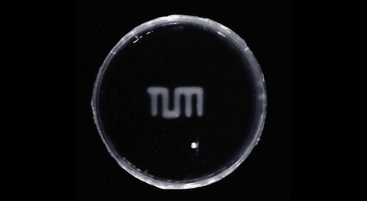 Scientists develop new self-erasing ink