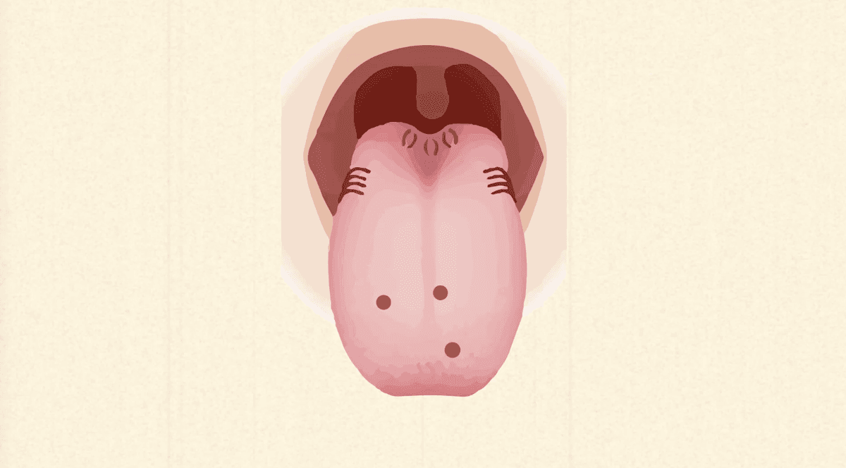 How semaphorins keep your taste system in order