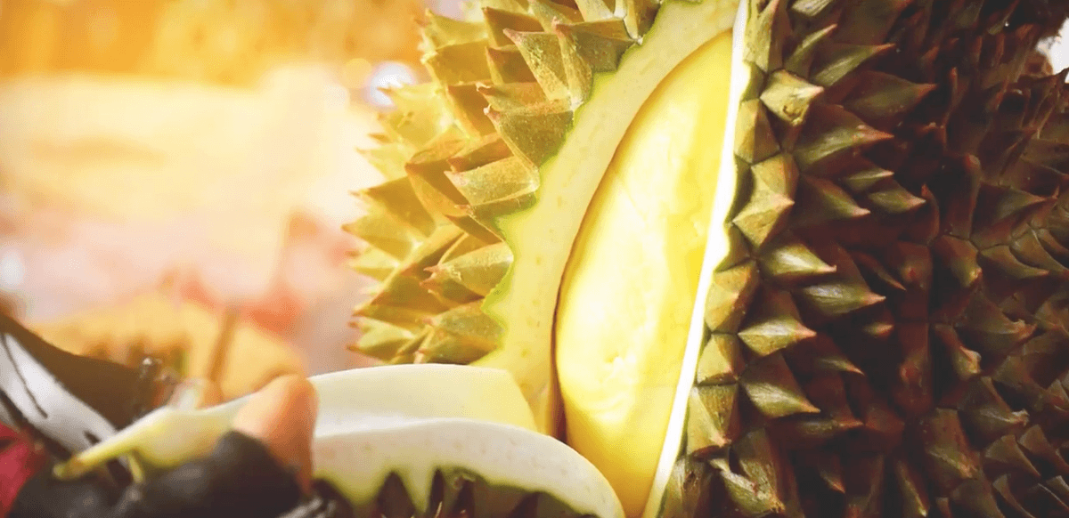 Durian: The smelly king of fruits