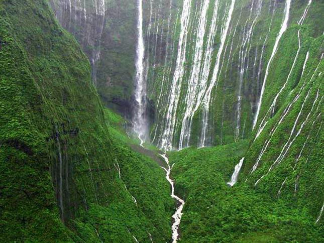 Big Bog Hawaii