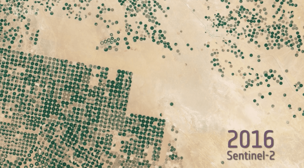 Farming in the Saudi Arabian desert