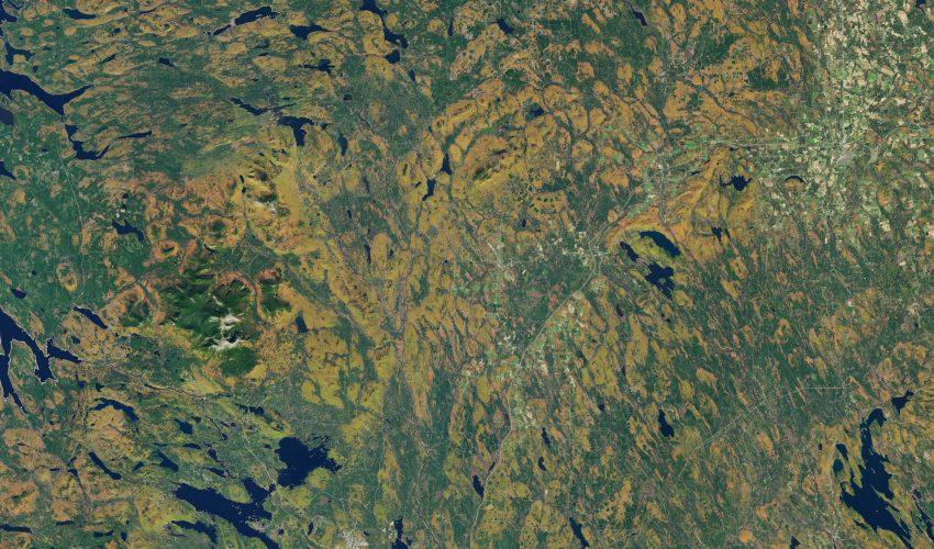 Autumn Foliage in Maine