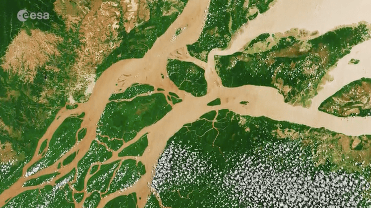 The Amazon River seen from space