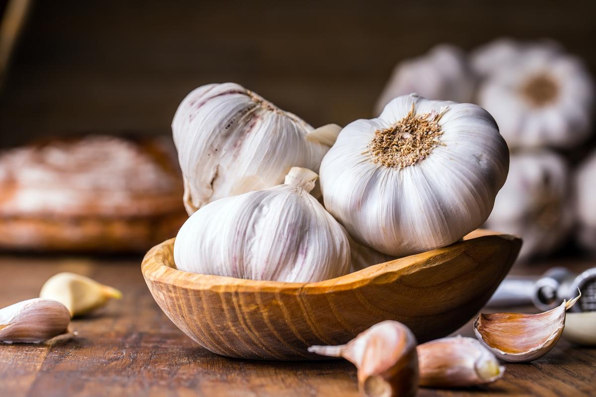 How garlic can be used to treat infections