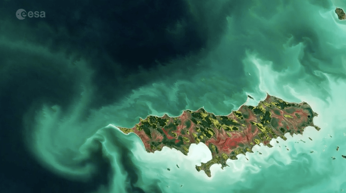 Reindeer Island in Canada