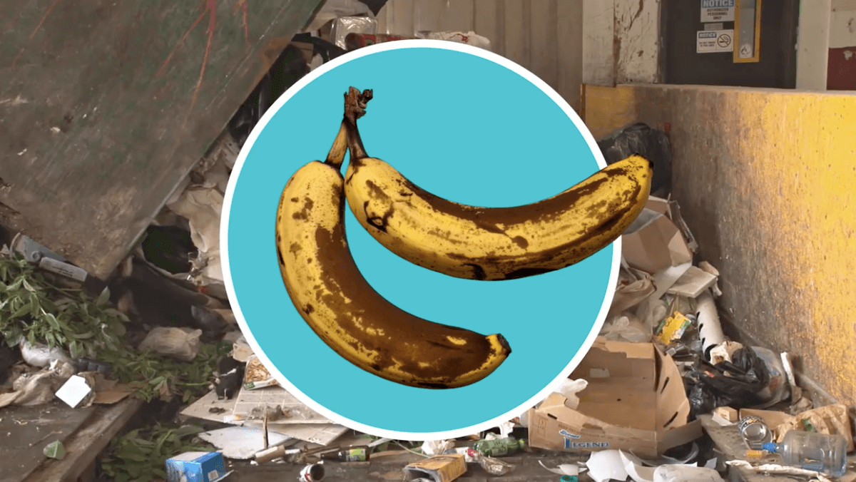How to tell when food needs to be thrown away