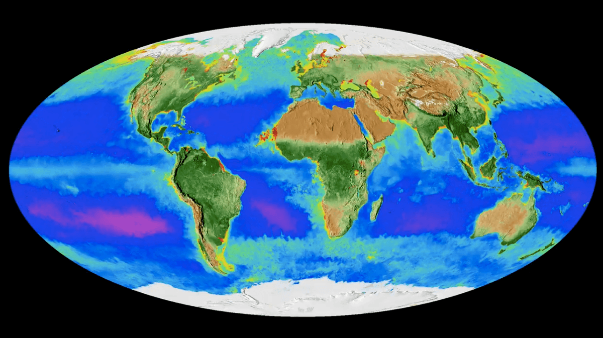 Monitoring life on Earth from space