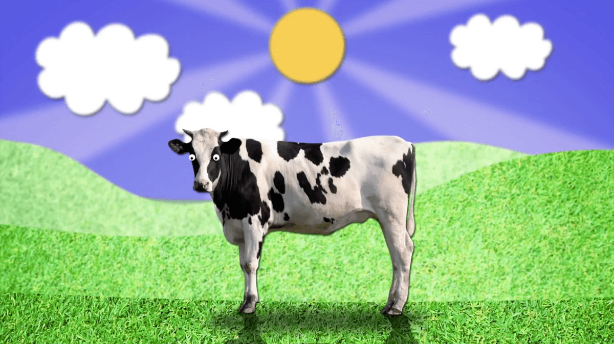 Cow burps really do impact global warming