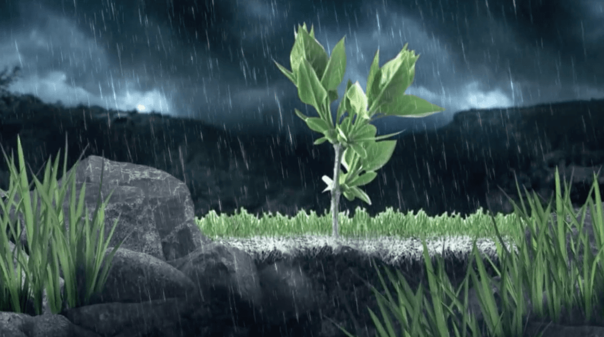 The after-rain smell is called petrichor