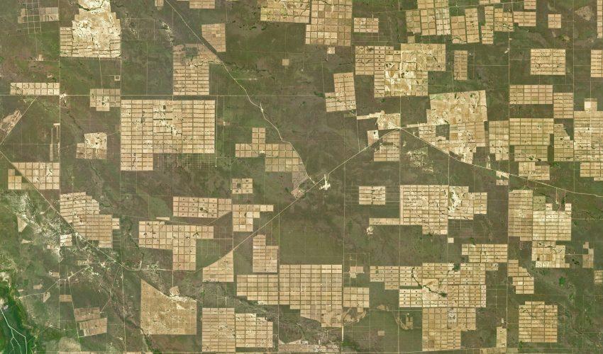 Gran Chaco Plains of South America