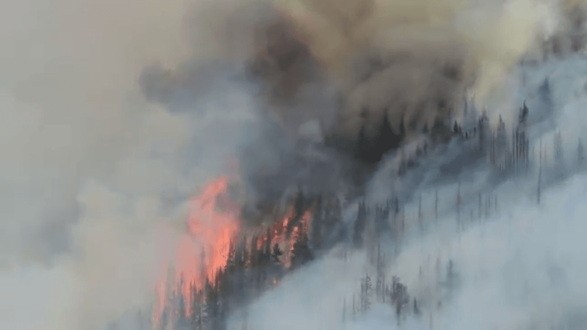 NASA database will help predict extreme fire events