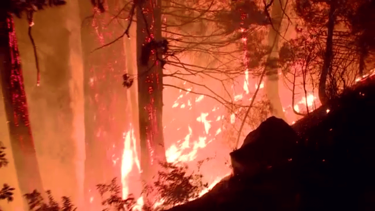 Climate change is now a full-blown crisis