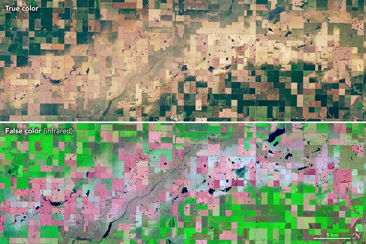 Croplands devastated by hailstorms in South Dakota